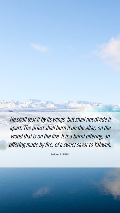 Picture 06 - Leviticus 1:17 WEB Mobile Phone Wallpaper - He shall tear it by its wings, but shall not - Mobile Bible Verse Wallpaper