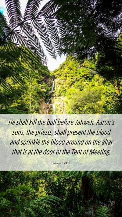 Picture 06 - Leviticus 1:5 WEB Mobile Phone Wallpaper - He shall kill the bull before Yahweh. Aaron's - Mobile Bible Verse Wallpaper