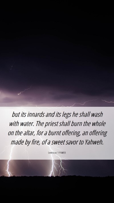 Picture 06 - Leviticus 1:9 WEB Mobile Phone Wallpaper - but its innards and its legs he shall wash with - Mobile Bible Verse Wallpaper