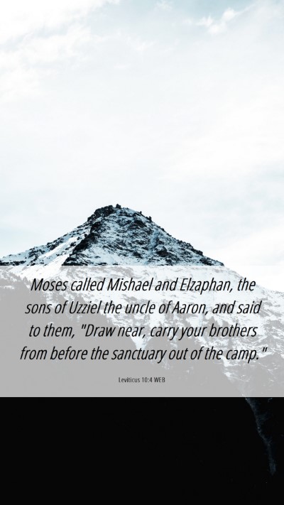 Picture 06 - Leviticus 10:4 WEB Mobile Phone Wallpaper - Moses called Mishael and Elzaphan, the sons of - Mobile Bible Verse Wallpaper