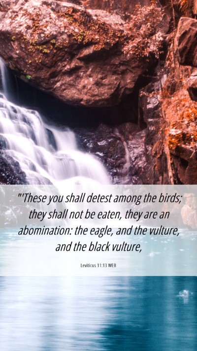 Picture 06 - Leviticus 11:13 WEB Mobile Phone Wallpaper - 