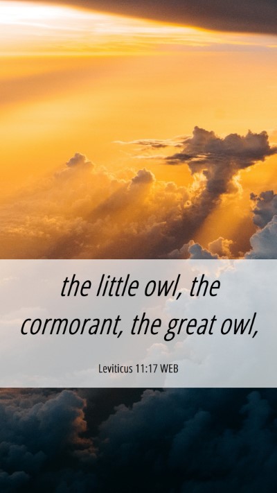 Picture 06 - Leviticus 11:17 WEB Mobile Phone Wallpaper - the little owl, the cormorant, the great - Mobile Bible Verse Wallpaper