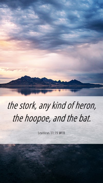 Picture 06 - Leviticus 11:19 WEB Mobile Phone Wallpaper - the stork, any kind of heron, the hoopoe, and the - Mobile Bible Verse Wallpaper
