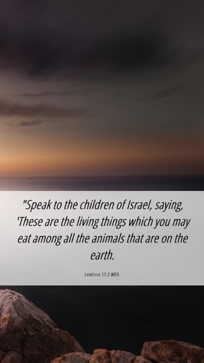 Picture 06 - Leviticus 11:2 WEB Mobile Phone Wallpaper - 