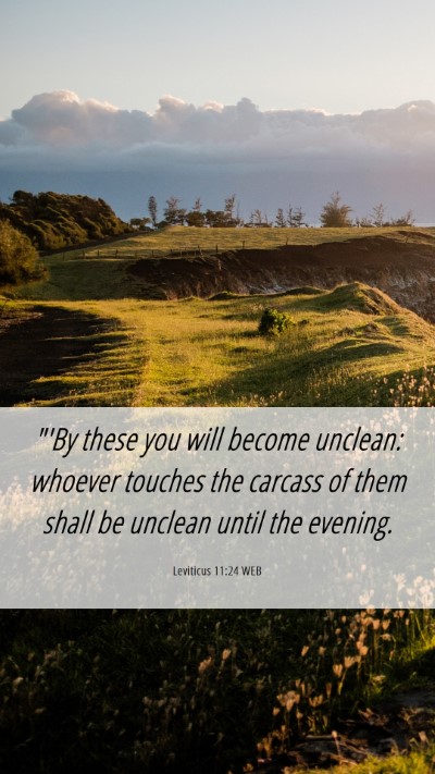 Picture 06 - Leviticus 11:24 WEB Mobile Phone Wallpaper - 