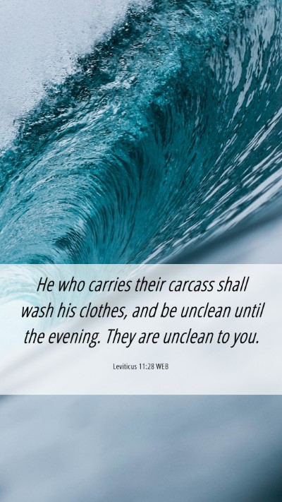 Picture 06 - Leviticus 11:28 WEB Mobile Phone Wallpaper - He who carries their carcass shall wash his - Mobile Bible Verse Wallpaper