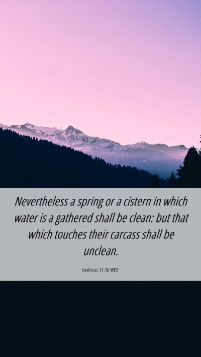 Picture 06 - Leviticus 11:36 WEB Mobile Phone Wallpaper - Nevertheless a spring or a cistern in which water - Mobile Bible Verse Wallpaper