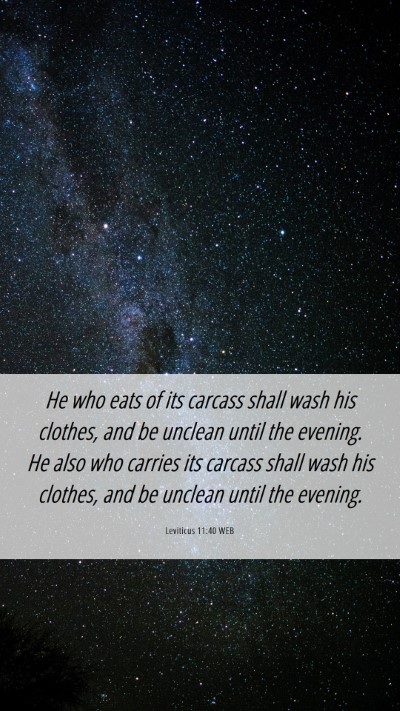 Picture 06 - Leviticus 11:40 WEB Mobile Phone Wallpaper - He who eats of its carcass shall wash his - Mobile Bible Verse Wallpaper