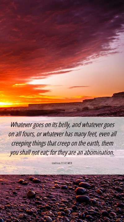 Picture 06 - Leviticus 11:42 WEB Mobile Phone Wallpaper - Whatever goes on its belly, and whatever goes on - Mobile Bible Verse Wallpaper