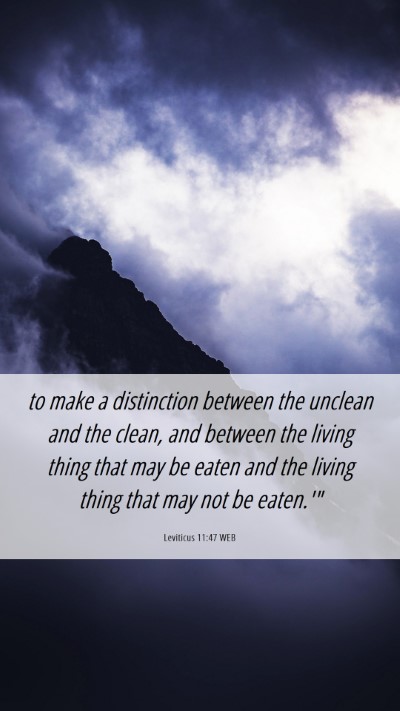 Picture 06 - Leviticus 11:47 WEB Mobile Phone Wallpaper - to make a distinction between the unclean and the - Mobile Bible Verse Wallpaper
