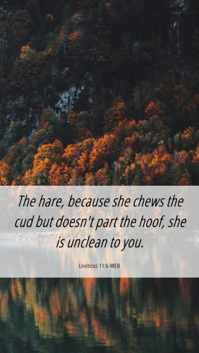 Picture 06 - Leviticus 11:6 WEB Mobile Phone Wallpaper - The hare, because she chews the cud but doesn't - Mobile Bible Verse Wallpaper