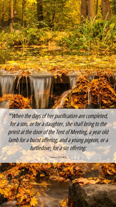 Picture 06 - Leviticus 12:6 WEB Mobile Phone Wallpaper - 