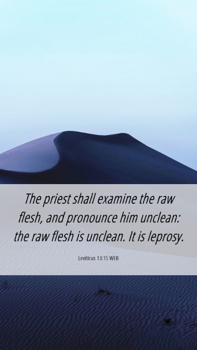 Picture 06 - Leviticus 13:15 WEB Mobile Phone Wallpaper - The priest shall examine the raw flesh, and - Mobile Bible Verse Wallpaper