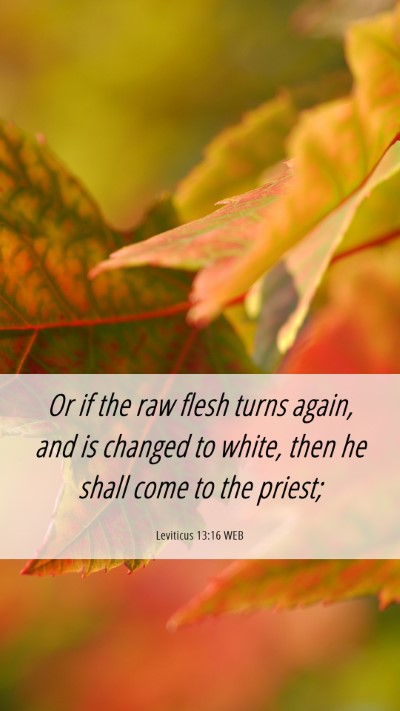 Picture 06 - Leviticus 13:16 WEB Mobile Phone Wallpaper - Or if the raw flesh turns again, and is changed - Mobile Bible Verse Wallpaper