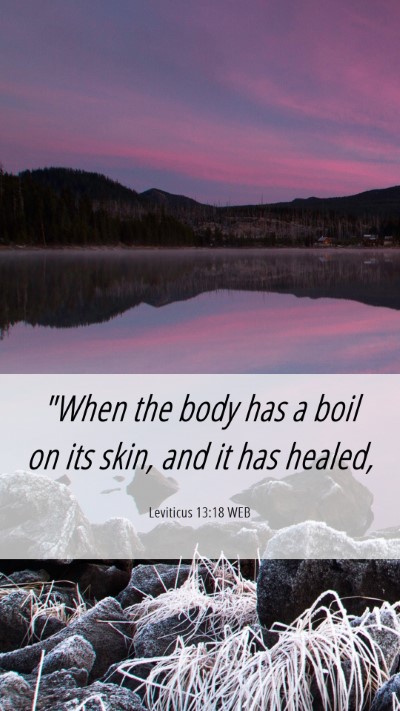 Picture 06 - Leviticus 13:18 WEB Mobile Phone Wallpaper - 