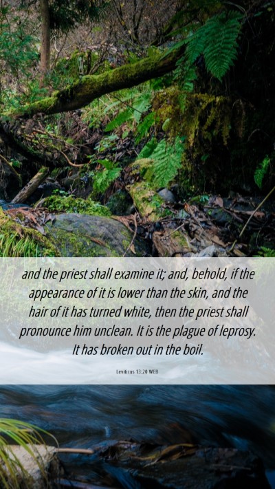 Picture 06 - Leviticus 13:20 WEB Mobile Phone Wallpaper - and the priest shall examine it; and, behold, if - Mobile Bible Verse Wallpaper