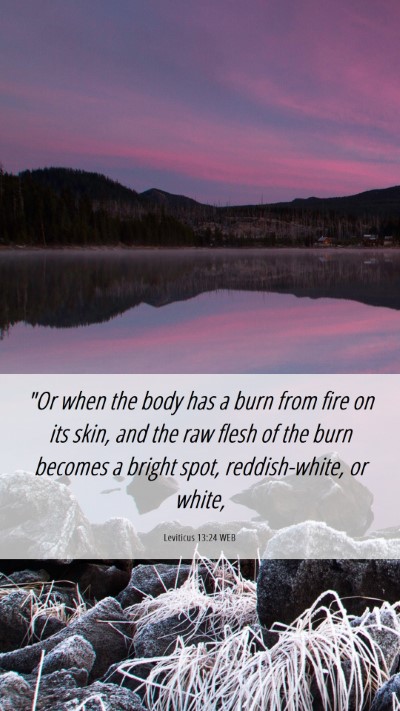 Picture 06 - Leviticus 13:24 WEB Mobile Phone Wallpaper - 