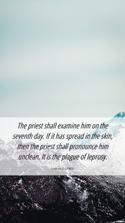 Picture 06 - Leviticus 13:27 WEB Mobile Phone Wallpaper - The priest shall examine him on the seventh day. - Mobile Bible Verse Wallpaper