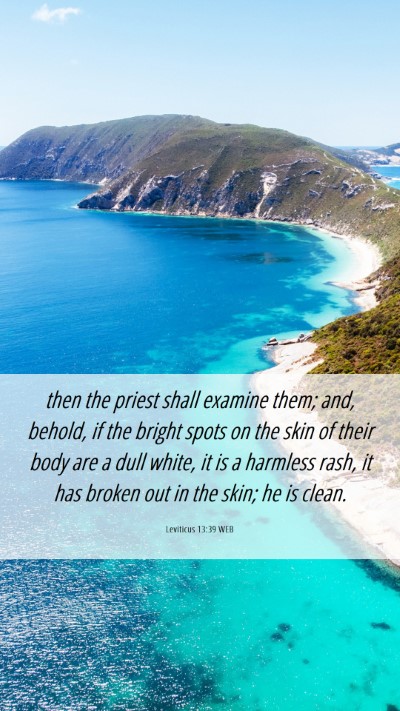 Picture 06 - Leviticus 13:39 WEB Mobile Phone Wallpaper - then the priest shall examine them; and, behold, - Mobile Bible Verse Wallpaper
