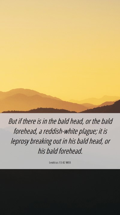 Picture 06 - Leviticus 13:42 WEB Mobile Phone Wallpaper - But if there is in the bald head, or the bald - Mobile Bible Verse Wallpaper