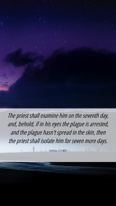 Picture 06 - Leviticus 13:5 WEB Mobile Phone Wallpaper - The priest shall examine him on the seventh day, - Mobile Bible Verse Wallpaper