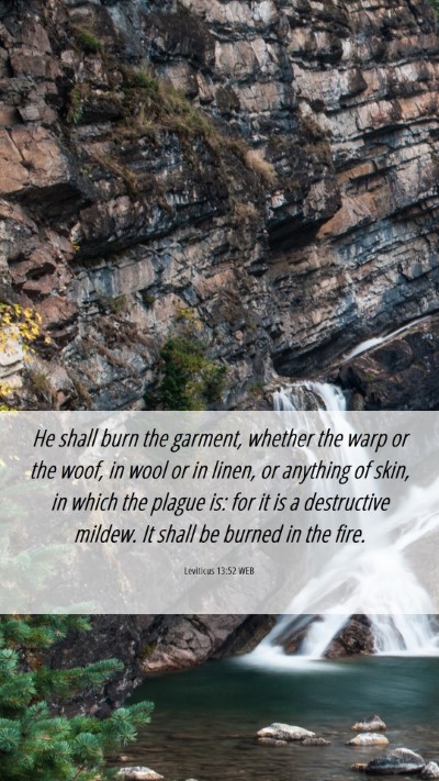 Picture 06 - Leviticus 13:52 WEB Mobile Phone Wallpaper - He shall burn the garment, whether the warp or - Mobile Bible Verse Wallpaper