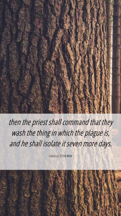 Picture 06 - Leviticus 13:54 WEB Mobile Phone Wallpaper - then the priest shall command that they wash the - Mobile Bible Verse Wallpaper