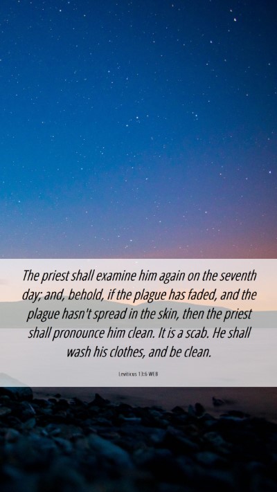 Picture 06 - Leviticus 13:6 WEB Mobile Phone Wallpaper - The priest shall examine him again on the seventh - Mobile Bible Verse Wallpaper