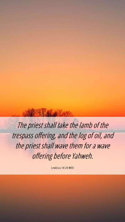 Picture 06 - Leviticus 14:24 WEB Mobile Phone Wallpaper - The priest shall take the lamb of the trespass - Mobile Bible Verse Wallpaper