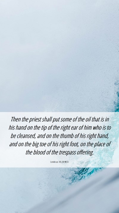 Picture 06 - Leviticus 14:28 WEB Mobile Phone Wallpaper - Then the priest shall put some of the oil that is - Mobile Bible Verse Wallpaper