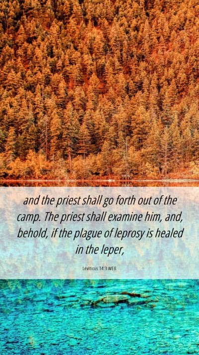 Picture 06 - Leviticus 14:3 WEB Mobile Phone Wallpaper - and the priest shall go forth out of the camp. - Mobile Bible Verse Wallpaper