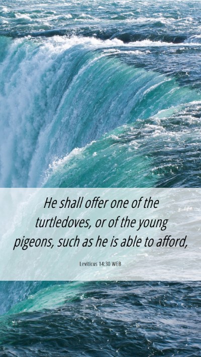 Picture 06 - Leviticus 14:30 WEB Mobile Phone Wallpaper - He shall offer one of the turtledoves, or of the - Mobile Bible Verse Wallpaper