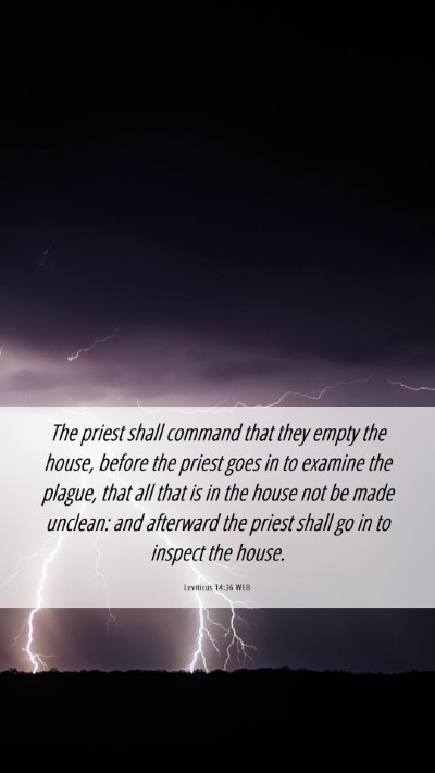 Picture 06 - Leviticus 14:36 WEB Mobile Phone Wallpaper - The priest shall command that they empty the - Mobile Bible Verse Wallpaper