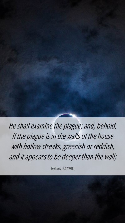 Picture 06 - Leviticus 14:37 WEB Mobile Phone Wallpaper - He shall examine the plague; and, behold, if the - Mobile Bible Verse Wallpaper