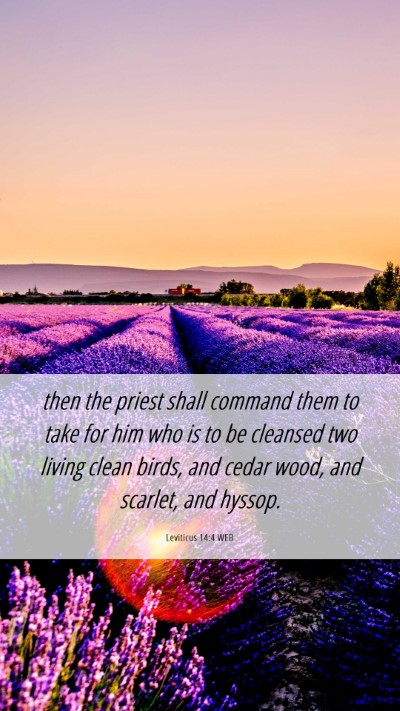 Picture 06 - Leviticus 14:4 WEB Mobile Phone Wallpaper - then the priest shall command them to take for - Mobile Bible Verse Wallpaper