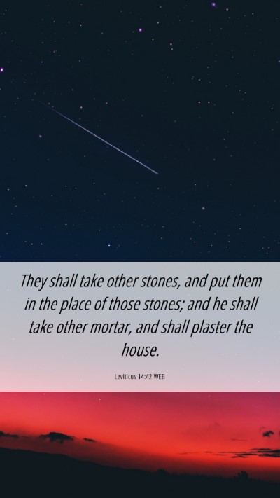 Picture 06 - Leviticus 14:42 WEB Mobile Phone Wallpaper - They shall take other stones, and put them in the - Mobile Bible Verse Wallpaper