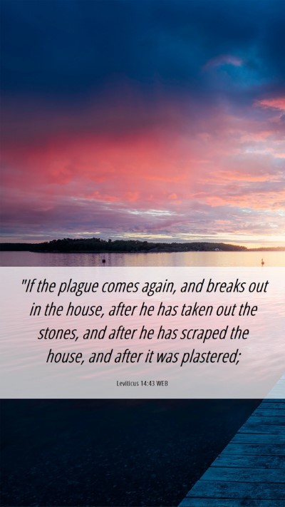 Picture 06 - Leviticus 14:43 WEB Mobile Phone Wallpaper - 