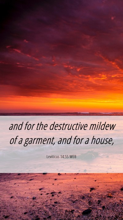 Picture 06 - Leviticus 14:55 WEB Mobile Phone Wallpaper - and for the destructive mildew of a garment, and - Mobile Bible Verse Wallpaper