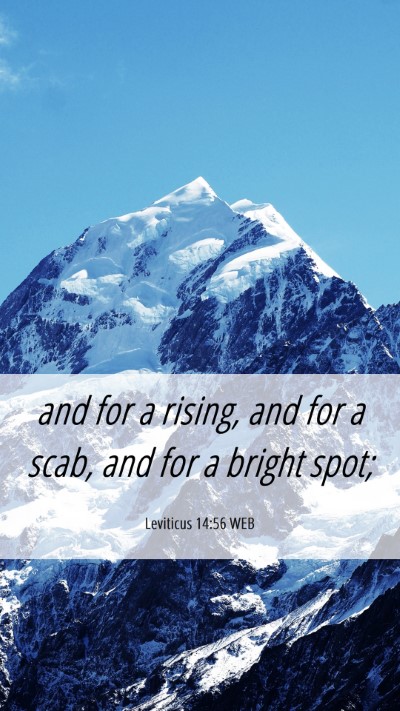 Picture 06 - Leviticus 14:56 WEB Mobile Phone Wallpaper - and for a rising, and for a scab, and for a - Mobile Bible Verse Wallpaper