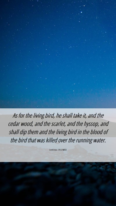 Picture 06 - Leviticus 14:6 WEB Mobile Phone Wallpaper - As for the living bird, he shall take it, and the - Mobile Bible Verse Wallpaper