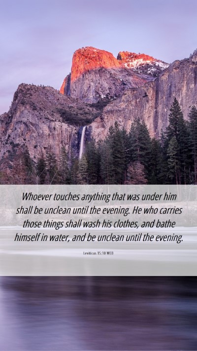 Picture 06 - Leviticus 15:10 WEB Mobile Phone Wallpaper - Whoever touches anything that was under him shall - Mobile Bible Verse Wallpaper