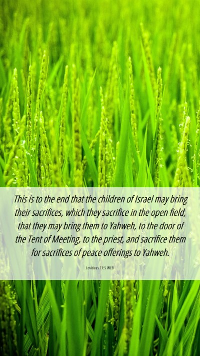 Picture 06 - Leviticus 17:5 WEB Mobile Phone Wallpaper - This is to the end that the children of Israel - Mobile Bible Verse Wallpaper