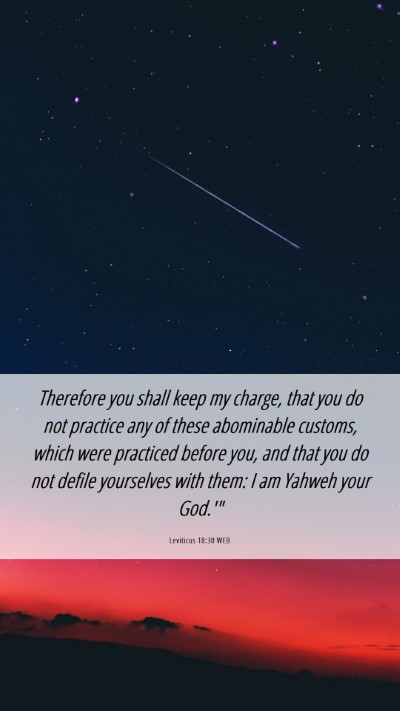 Picture 06 - Leviticus 18:30 WEB Mobile Phone Wallpaper - Therefore you shall keep my charge, that you do - Mobile Bible Verse Wallpaper