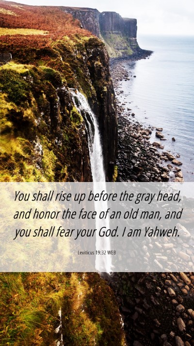 Picture 06 - Leviticus 19:32 WEB Mobile Phone Wallpaper - You shall rise up before the gray head, and honor - Mobile Bible Verse Wallpaper