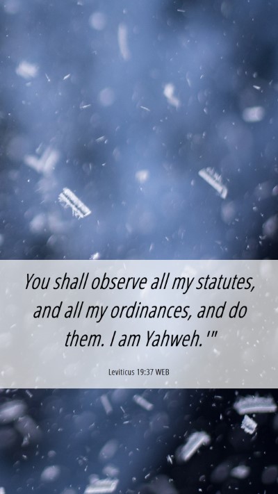 Picture 06 - Leviticus 19:37 WEB Mobile Phone Wallpaper - You shall observe all my statutes, and all my - Mobile Bible Verse Wallpaper