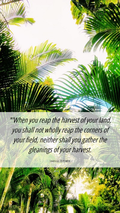 Picture 06 - Leviticus 19:9 WEB Mobile Phone Wallpaper - 