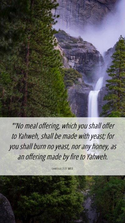Picture 06 - Leviticus 2:11 WEB Mobile Phone Wallpaper - 
