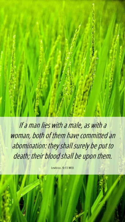 Picture 06 - Leviticus 20:13 WEB Mobile Phone Wallpaper - If a man lies with a male, as with a woman, both - Mobile Bible Verse Wallpaper