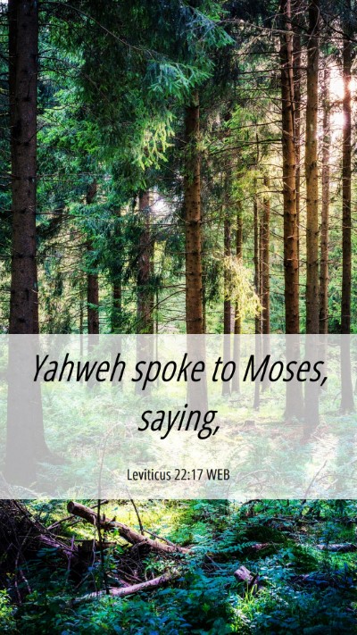 Picture 06 - Leviticus 22:17 WEB Mobile Phone Wallpaper - Yahweh spoke to Moses, - Mobile Bible Verse Wallpaper
