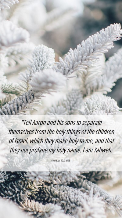 Picture 06 - Leviticus 22:2 WEB Mobile Phone Wallpaper - 